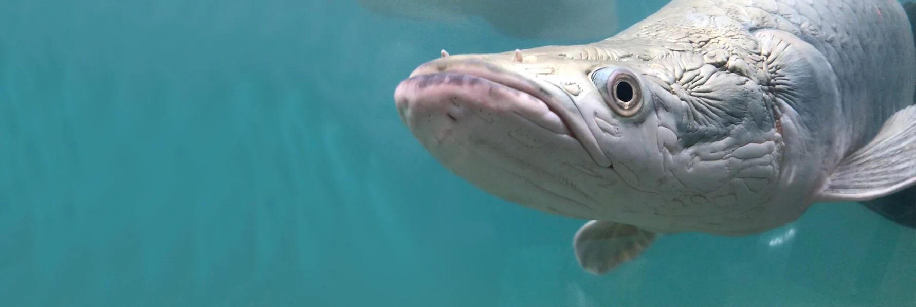 Welcome to Our Store